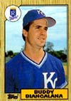Buddy Biancalana's luck in the 1985 World Seriesmade the difference between collectible and debatable.