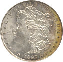 This Morgan dollar is beginning to tone