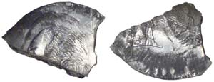 An example of the ''Feeder Finger'' error, previously denoted as ''struck on aluminum scrap.''