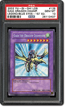 Gara the Dragon Champion