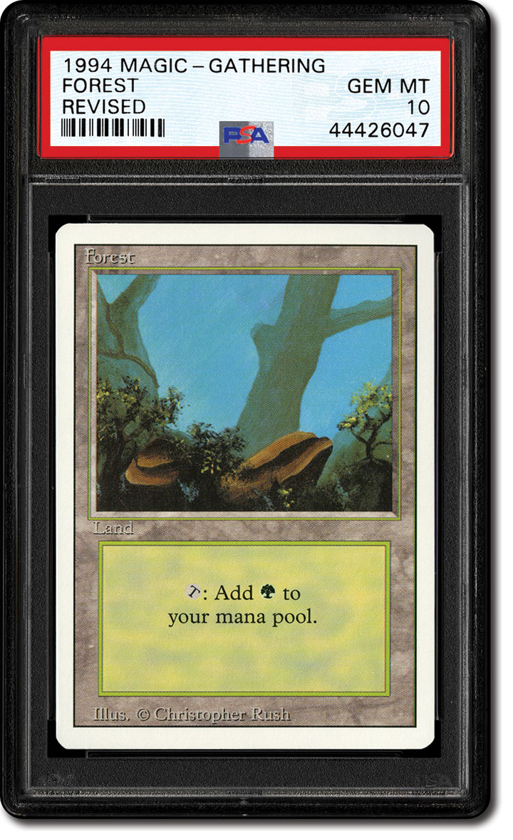 Forest MTG Card - 1994 Revised Edition C Details about   MAGIC THE GATHERING